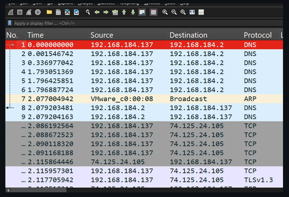 A Wireshark packet list of the capture: a flat, undifferentiated list of DNS, TCP and TLS packets.